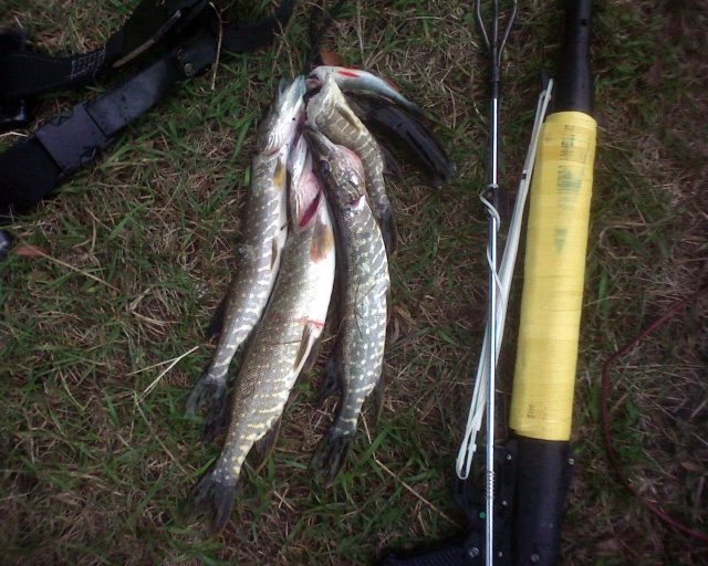 gallery_7562_915_138012.jpg