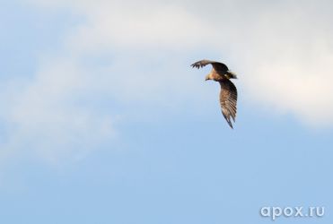 resize_1063995a2d11309aaef14192f6021102.