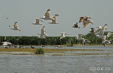 resize_23015dc817dabb6c70ba6d614b15806b.