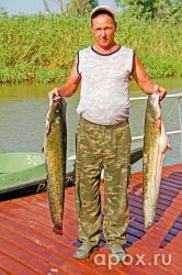 resize_27c4ae03aa5f9cba59cf1fb648f218aa.