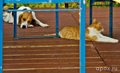 resize_5986e372c5175772fbecf5e0cf5974ce.