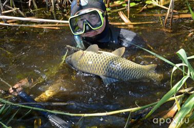 resize_9e5c28af8f383a01892f2c8a032588b4.