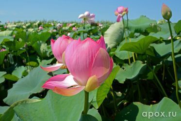 resize_9ea70a247f4ba88f8c08ea18cdfc0cde.