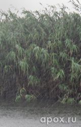 resize_b395dc23262acae58ca56135d810fa10.