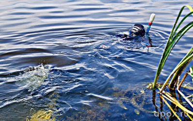 resize_b5dc5d2343b611eda373e519dc4f646f.