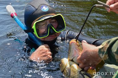 resize_b63e793ee9f45a02f30b61be934c14d0.