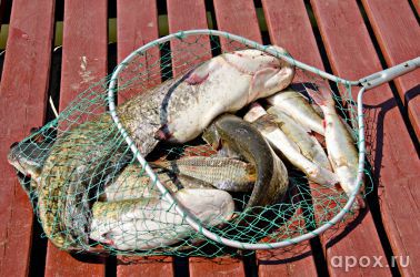 resize_d01a1daa7b3d79301025c9f75818d373.