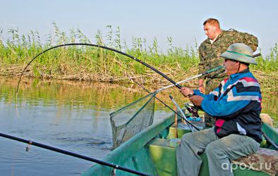 resize_e6e97c28e3415a016598a68e671a78c5.