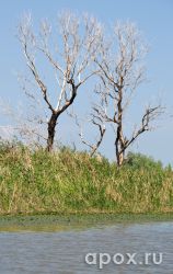 resize_e70927b4d15509749af1bb7fc74652ba.