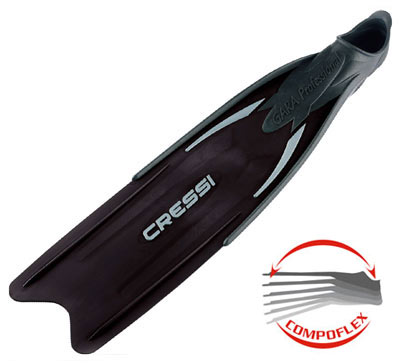 Gara Professional