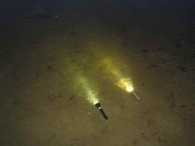 Подствольный подводный фонарь HunterProLight-3