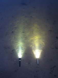 Подствольный подводный фонарь HunterProLight-3