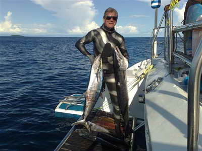 Argento mimetizzato 2009