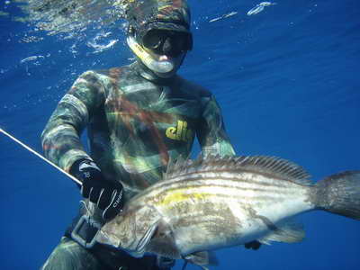 Костюмы Элиос Benthos 2010 из Yamamoto 45