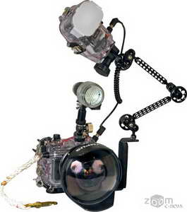 Встроенная вспышка плохо подходит для съемок под водой. Идеальный вариант – внешняя вспышка, крепящаяся на гибкой штанге