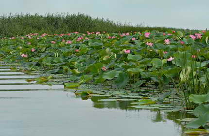 image017