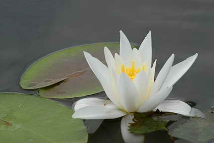 image018