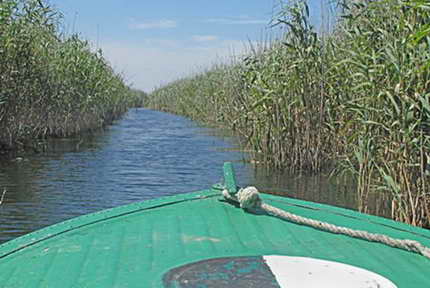 image004