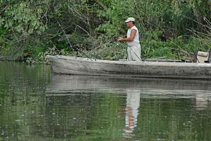 image003