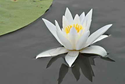 image010