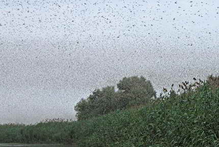 image013