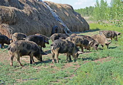 Рыбалка в Астрахани 18