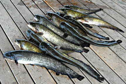 image010