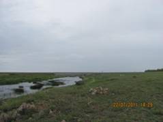 image001