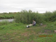 image001