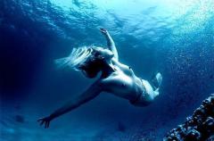 Mermaid in Silhouette