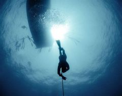 Diver X