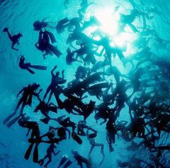 Freedivers Sardinia 1998 (ii)