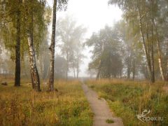 дорога