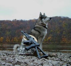 у нас все в поряде