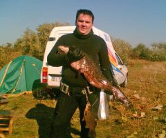 Сомик