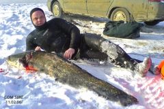 Сом
