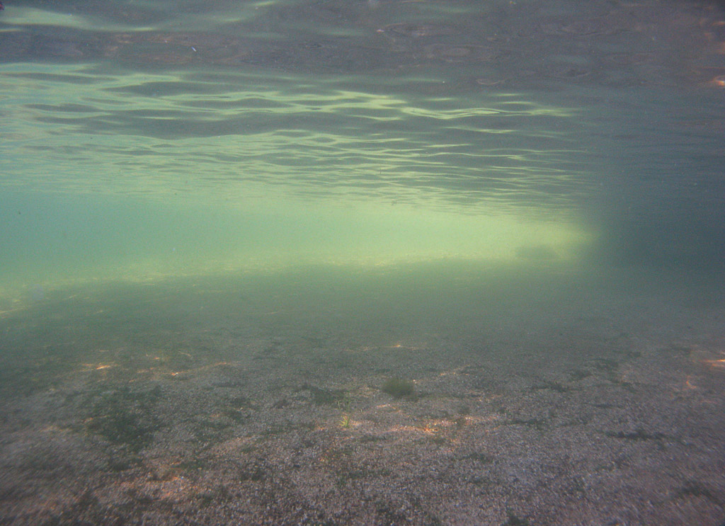 Тенистый песчаный берег под водой
