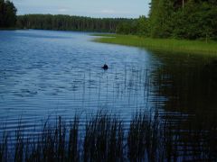 26.07.2008(отдых на озере Уловое) 012.jpg