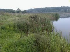 DC080810005.jpg