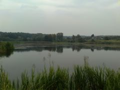 DC080810001.jpg