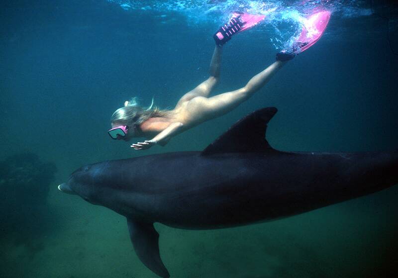 Русалка и дельфин