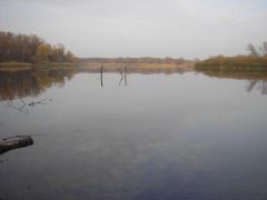 PB020033.JPG