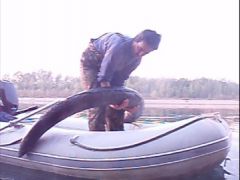Находки под водой!