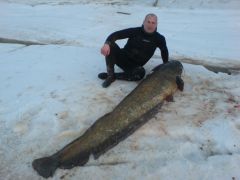 Сом Сомыч 108 кг на 2м46см  21 марта 2009г.