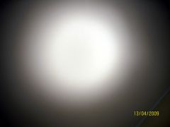IMG_5133.jpg