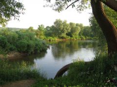 IMG_04721.jpg