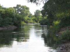 IMG_04612.jpg