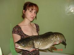 DSC07665.JPG