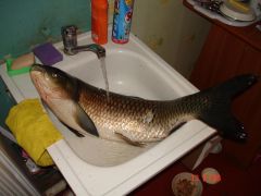 DSC07664.JPG
