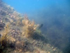 Фото сделанные на море